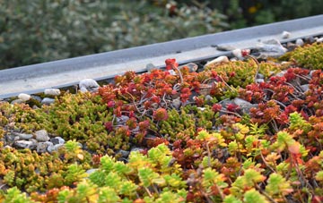 the cost of Orange Row green roof installation