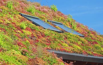 Orange Row living roof systems